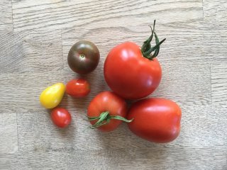 Tomaten, bunt